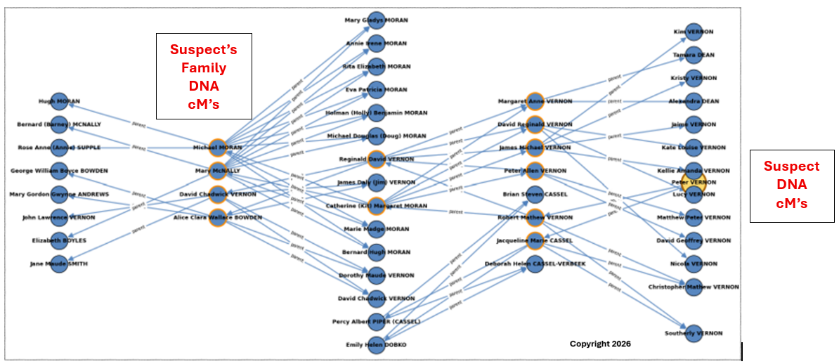 DNA genealogy relationship chart linking a suspect with family DNA centimorgan matches